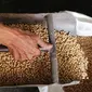 Pekerja tengah mengangkat kacang kedelai untuk dijadikan bahan dasar pembuatan tahu di Jakarta, Rabu (6/1/). Dari kebutuhan sekitar 2,5 juta ton per tahun, 1,7 juta ton diantaranya harus dipenuhi dari impor. (Liputan6.com/Angga Yuniar)