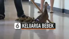 thumbnail tradisi bebek di prairie mountain school
