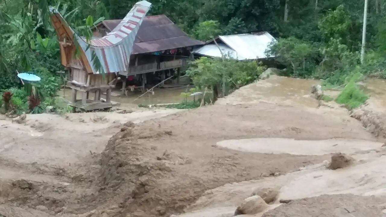 Longsor Toraja Timbun Nenek Saat Cari Pakan Babi Peliharaan