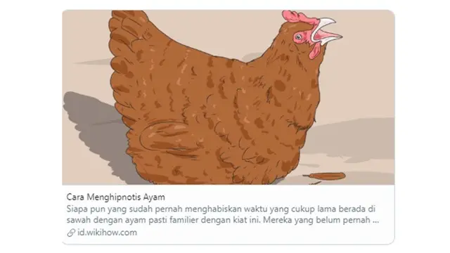 6 Tutorial di Wikihow Ini Nyelenehnya Bikin Tepuk Jidat