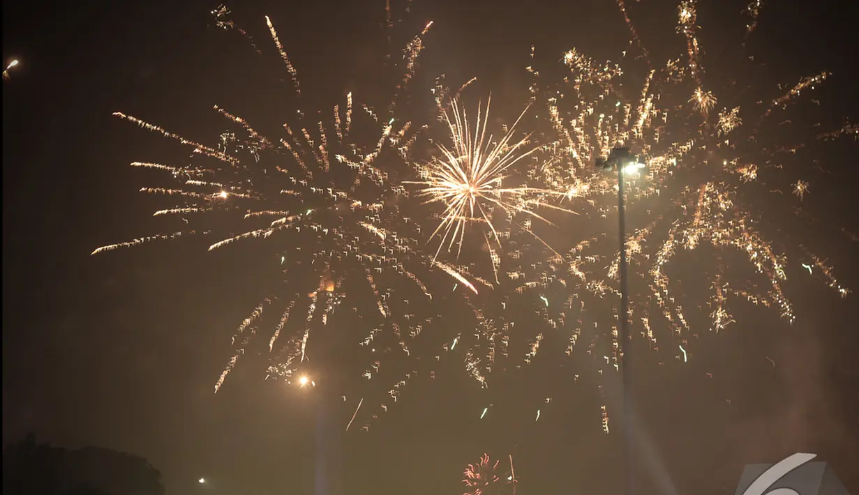 Kembang api memancar dengan indah di langit Jakarta saat perayaan tahun baru 2015 di kawasan Monas, Kamis (1/1/2015). (Liputan6.com/Faizal Fanani)