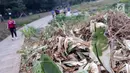 Kondisi tanaman yang ada di sekitar Hutan Kota GBK, Jakarta, Selasa (2/7/2019). Kurangnya perawatan berakibat rusaknya beberapa tanaman yang ada di area Hutan Kota GBK. (Liputan6.com/Helmi Fithriansyah)