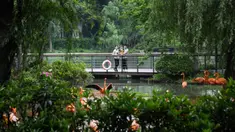 Pengunjung mengamati kawanan flamingo di Kebun Binatang Wuhan, Wuhan, Provinsi Hubei, China, Rabu (22/4/2020). Kebun Binatang Wuhan kembali dibuka untuk umum dengan peraturan ketat yang diterapkan untuk mencegah penyebaran COVID-19. (Xinhua/Cheng Min)