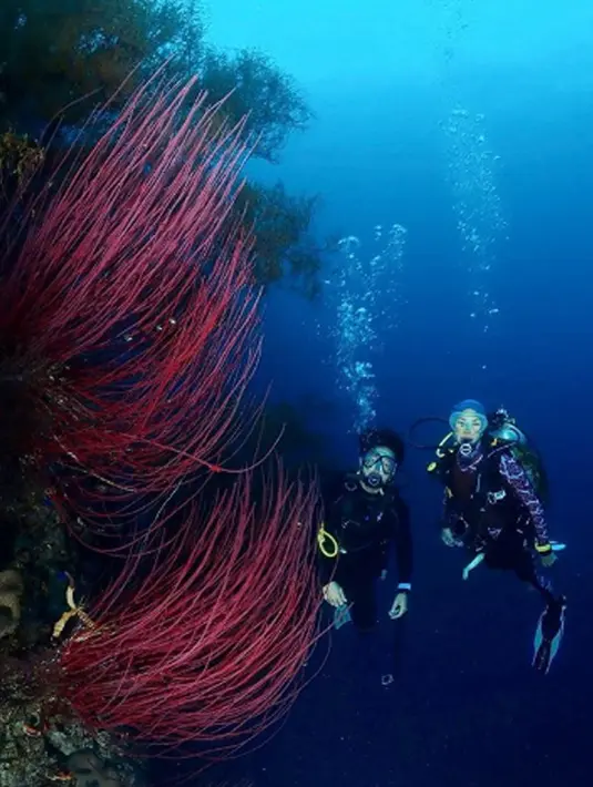 Saat travelling, Nadine dan Dimas tidak melewatkan kesempatan untuk diving juga loh!