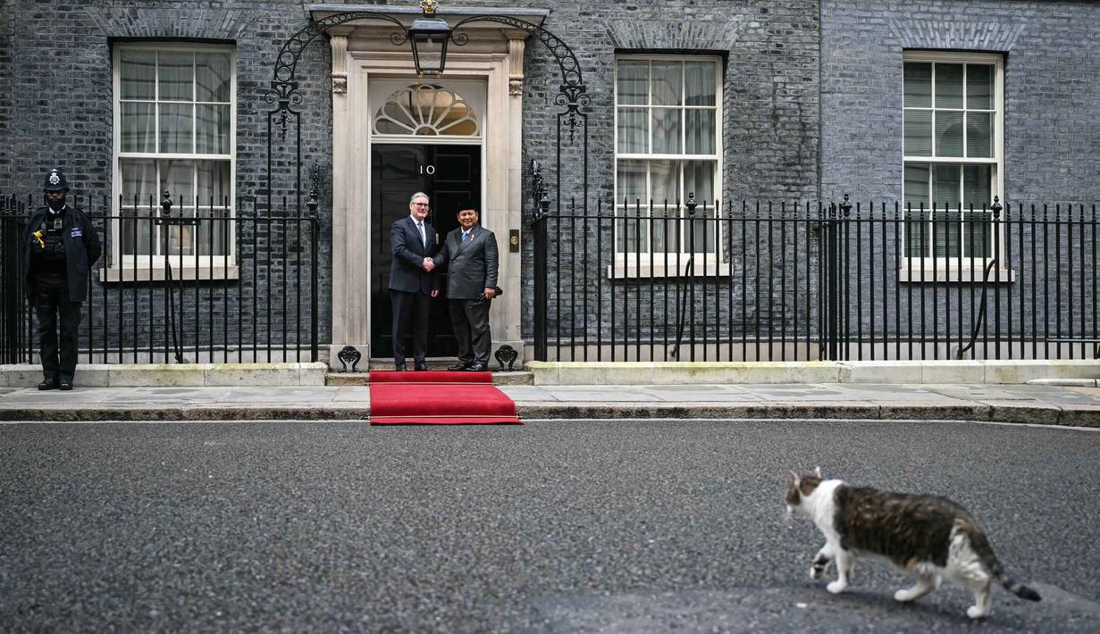 Larry the Cat (depan) berjalan melewati Perdana Menteri Inggris Keir Starmer (kedua kiri) saat menyambut Presiden Indonesia Prabowo Subianto untuk pertemuan mereka di Downing Street di pusat kota London pada 20 Januari 2026. Presiden Republik Indonesia, Prabowo Subianto melakukan pertemuan dengan Perdana Menteri (PM) Inggris, Keir Starmer, di Kantor PM Inggris, Downing Street, London, Selasa (20/01/2026). (JUSTIN TALLIS/POOL/AFP)