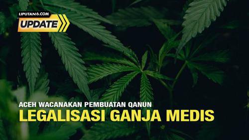 Liputan6 Update: Aceh Wacanakan Pembuatan Qanun Legalisasi Ganja Medis