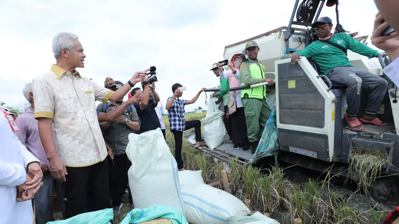 Gubernur Jawa Tengah (Jateng) Ganjar Pranowo mengajak para petani milenial untuk ikut menggenjot produktivitas padi di panen raya Jateng. (istimewa)