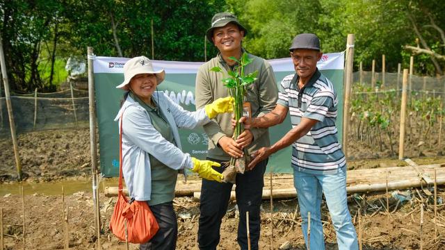 Melalui program AYO BERAKSI, Telkom menggelar aksi penanaman mangrove. (Sumber: Telkom)