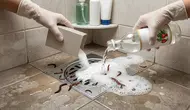 12 Cara Mengusir Cacing dari Kamar Mandi Tanpa Bahan Kimia, Aman dan Efektif