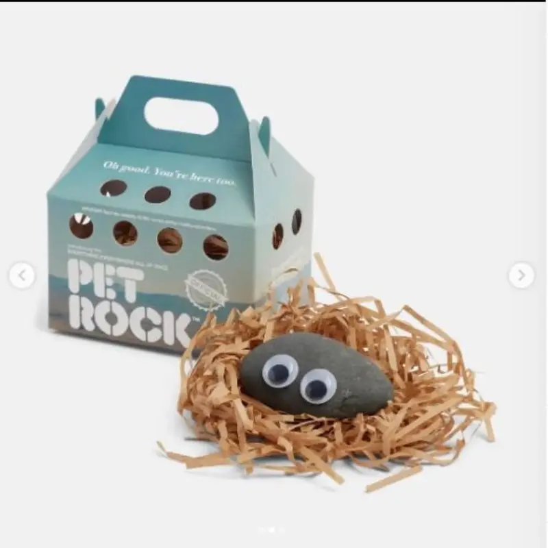 Pet Rock Inventor Dead: Gary Dahl Dies at 78 – The Hollywood Reporter