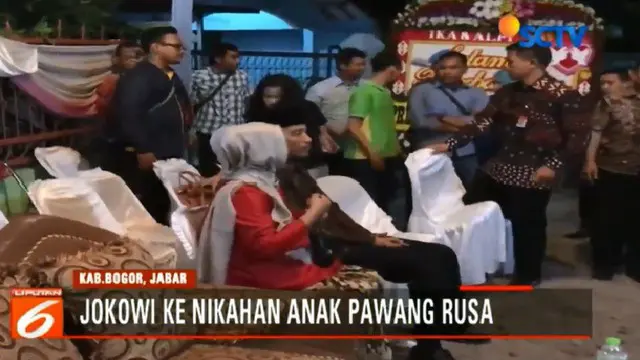 Gaya Jokowi Blusukan Hadiri Pernikahan Putri Pawang Rusa di Malam Hari