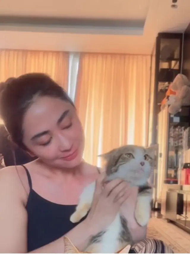 6 Potret Dewi Perssik Jaga Kucing Eko Patrio yang Selamat Pasca Penjarahan Rumah