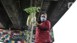 Warga melakukan perawatan taman sayur di kolong flyover Cipinang, Jakarta, Senin (1/2/2021). Selain sayur seperti sawi dan kangkung, taman ini juga dilengkapi kolam ikan yang hasil panennya untuk dikonsumsi oleh warga sebagai program ketahanan pangan. (merdeka.com/Iqbal S. Nugroho)