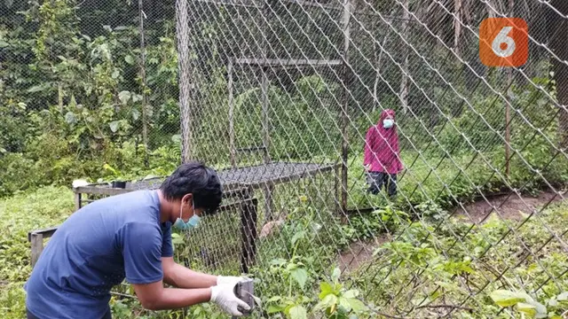 Pemasangan Camera Trap
