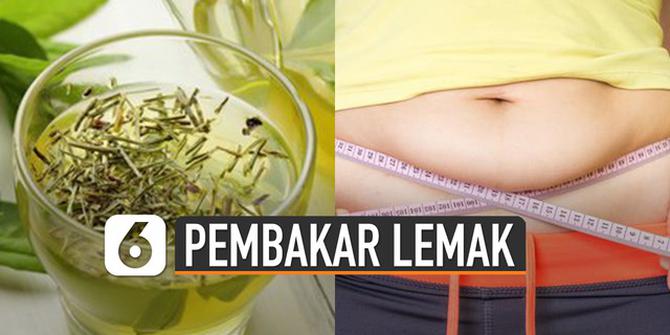 VIDEO: Ingin Punya Perut Langsing, Ini dia Minuman yang Dapat Membakar Lemak