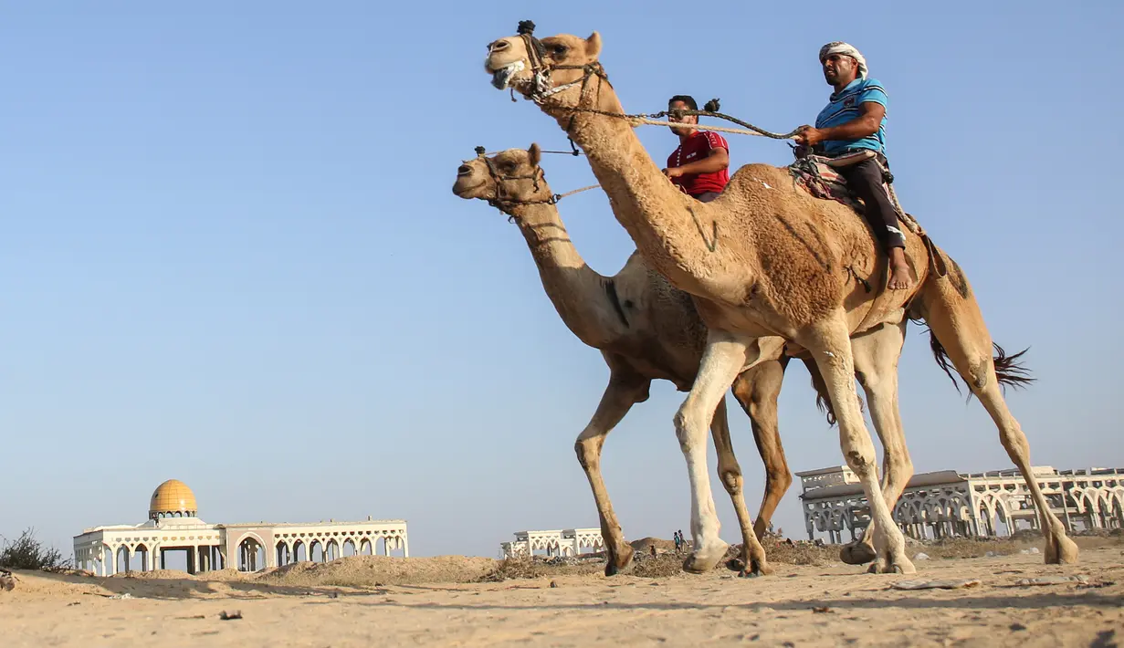 Dua peserta joki  bersaing dalam perlombaan balap unta lokal di Rafah, Jalur Gaza selatan (20/10/2019). Balapan unta ini menggunakan lintasan bekas landasan bandara Gaza yang sudah hancur di Rafah, Gaza selatan. (AFP Photo/Said Khatib)