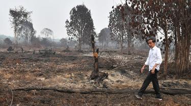 Tanpa Masker, Jokowi Tinjau Lokasi Kebakaran Hutan di Pekanbaru
