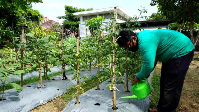 (Foto: Dok Humas Pemkot Surabaya)