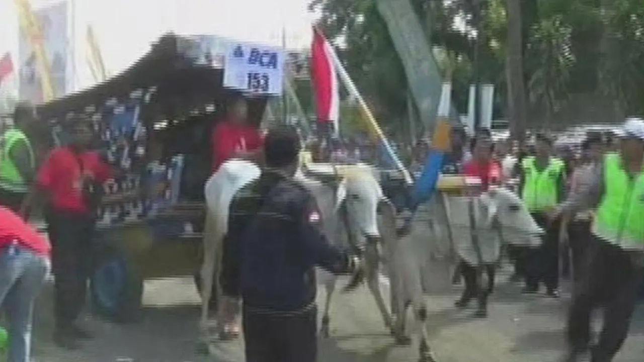 sapi-ngamuk-lip-pagi-140826