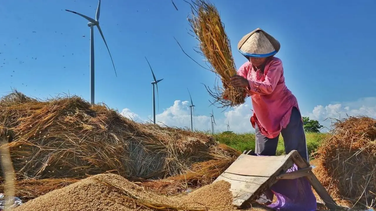 UNDP Gelar Kompetisi Foto untuk Ingatkan Peran Penting Perempuan di Sektor Energi Berkelanjutan.