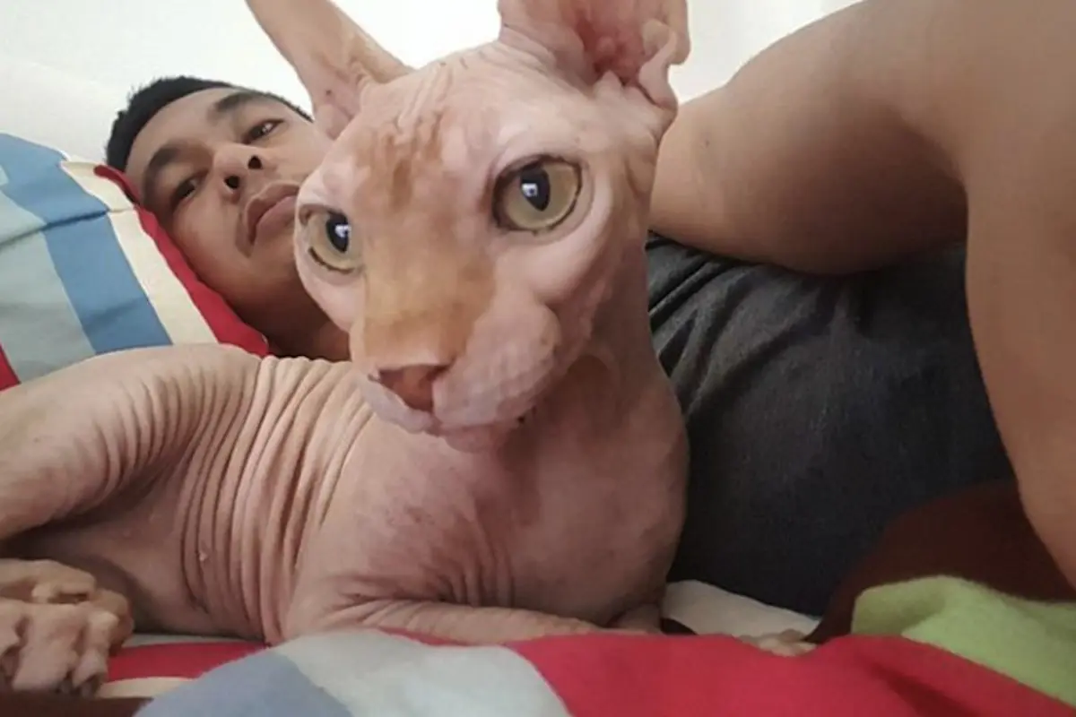 Raditya Dika