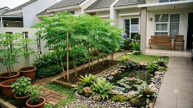Inspirasi Kebun Kelor Mini di Halaman Rumah Lahan Terbatas