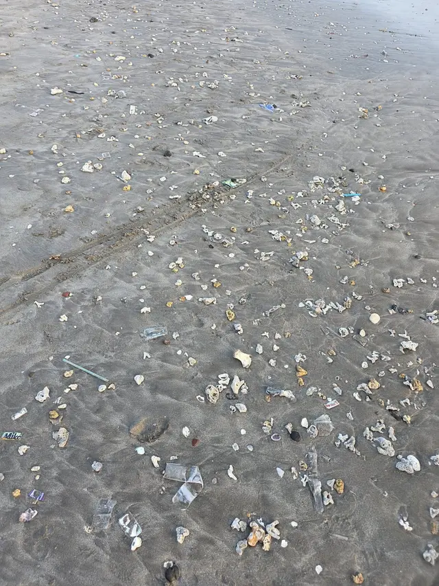 Musim Sampah di Pantai Bali Kembali Lagi, Banyak Warga yang Khawatir