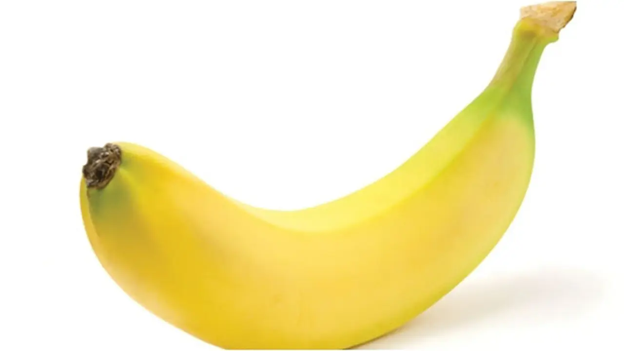 Foto: copyright shutterstock.com