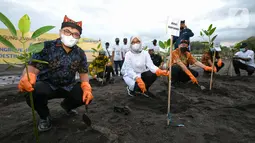 Penanaman 10.000 pohon mangrove di Pantai Cemara, Banyuwangi selain mencegah abrasi dan mengurangi emisi gas buang juga sebagai bentuk tanggung jawab sosial dan lingkungan dalam mendukung tercapainya tujuan pembangunan berkelanjutan Bank BTN kepada kepada Pemkab Banyuwangi. (Liputan6.com/HO/Hedi)