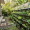 7 Cara Membuat Kebun Botol Bekas di Pagar Rumah, Panduan Lengkap dari Bahan hingga Perawatan