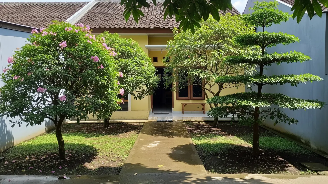 Ide Pohon Kecil yang Rimbun Tapi Akar Tetap Aman untuk Rumah