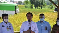 Presiden RI Joko Widodo (Jokowi) meninjau panen padi di Desa Wanasari, Kabupaten Indramayu, Provinsi Jawa Barat.