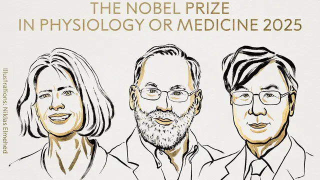 Peripheral Immune Tolerance: The Key to the 2025 Nobel Prize Winners in Medicine