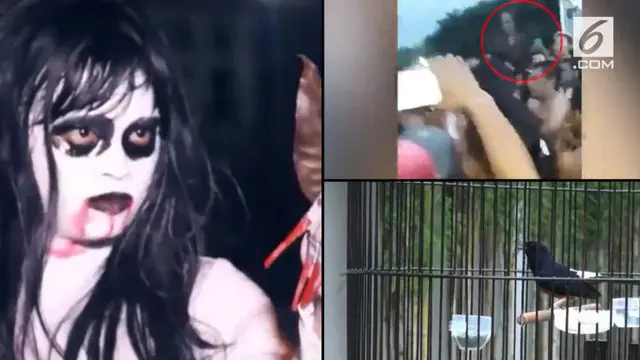 Video Hit hari ini hadir dari polisi yang tilang kuntilanak, keindahan suara burung murai batu pemenang kompetisi, dan sosok mengerikan di Cirebon.