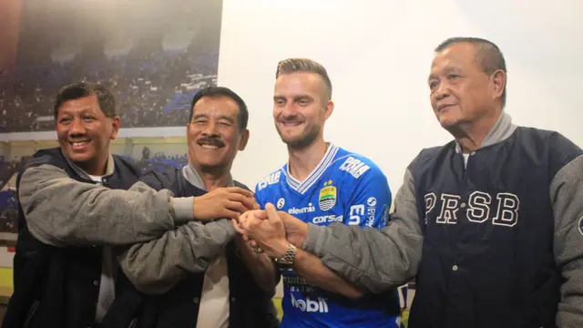 Rene Mihelic, Persib Bandung
