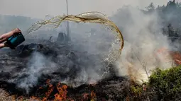 Petugas pemadam kebakaran menyiramkan air ke api yang melalap lahan gambut di Pekanbaru, Provinsi Riau, Kamis (1/2). (AFP Photo/Wahyudi)