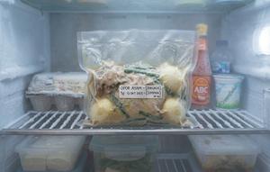 Opor beku di kulkas Gemini AI