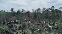 Peserta aksi penanaman pohon di Hutan Harapan Jambi, Sabtu (14/3/2020). Penanaman pohon ini dilakukan di kawasan bekas kebakaran hutan tahun lalu. (Liputan6.com / Gresi Plasmanto)