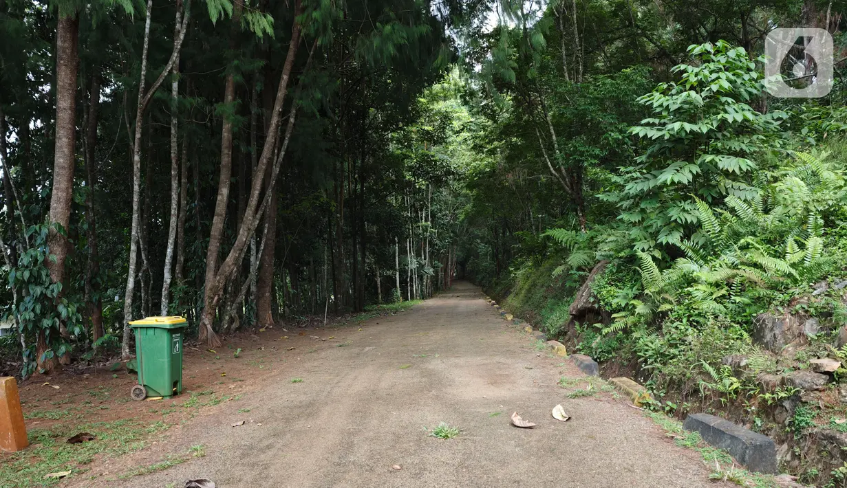 Nama Sawerigading terinspirasi dari cucu dari Batara Guru, sang penguasa Bumi menurut epos La Galigo. Sedangkan, Wallacea adalah garis yang mengindikasikan keanekaragaman hayati di Indonesia. (Liputan6.com/ Elin Yunita Kristanti)