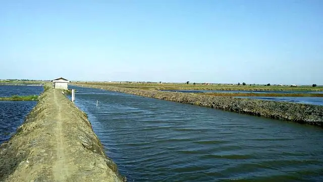 Kementerian PUPR dukung pengembangan kawasan tambak ikan di Kabupaten Indramayu, Jawa Barat. (Dok Kementerian PUPR)