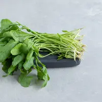 Ilustrasi bayam. (Foto: Freepik)