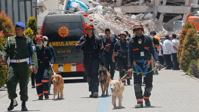 Endusan Anjing K9 Bantu Polisi Cari Korban Gempa dan Tsunami Palu