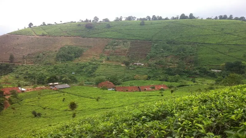 Bupati Majalengka Tutup Sementara Kawasan Wisata Imbas Naiknya Kasus Positif Covid-19