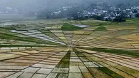 Sawah jaring laba-laba di NTT. (Foto: FB Egild Ansga)