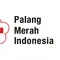 Hari Palang Merah Indonesia: Sejarah PMI Dari Zaman Belanda Hingga Kemerdekaan