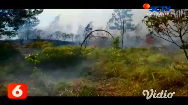 Ratusan hektar kawasan hutan di lereng perbukitan Gunung Welirang, Kabupaten Mojokerto, Jawa Timur, terbakar.