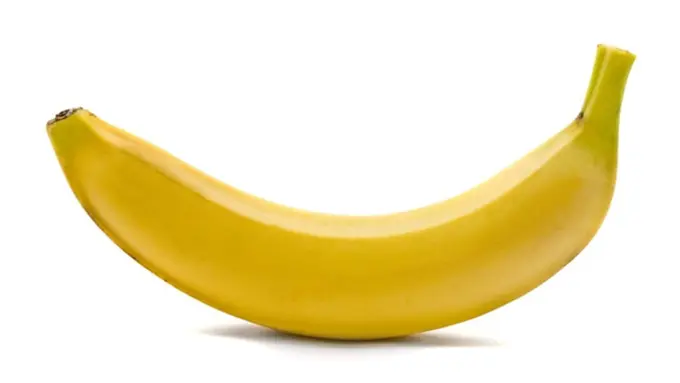 Foto: copyright oyvegan.com