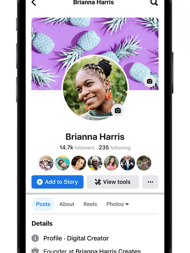 Pro Mode Profile Facebook