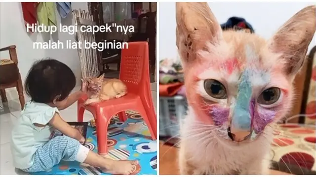 8 Potret Hewan Peliharaan Pasrah saat Didandani Anak Kecil Ini Bikin Geleng Kepala