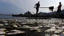Petugas mengangkat ribuan ikan yang mati di arena latihan atlet dayung Laguna Rodrigo de Freitas, Rio de Janeiro, Brazil, Senin (13/4/2015). Ribuan ikan mati akibat air laut dingin masuk ke Laguna. (REUTERS/Ricardo Moraes)